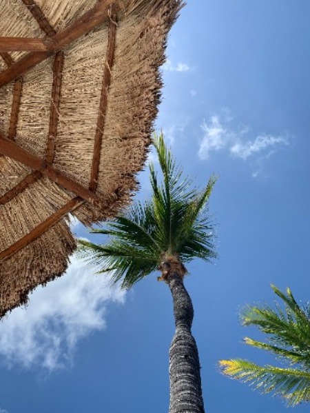 Club Med